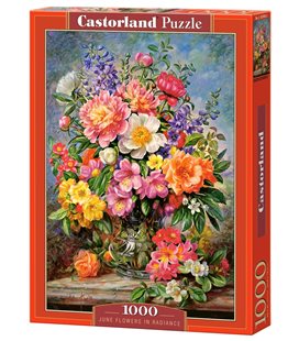 Пазл - Июнь Цветы в сиянии (Castorland) 1000 эл.