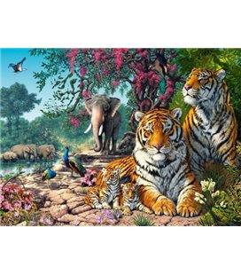 Пазлы "Заповедник тигров", 3000 элементов (C-300600)