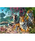 Пазлы "Заповедник тигров", 3000 элементов (C-300600)