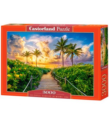 Пазлы "Цветной восход солнца в Майами", 3000 элементов (C-300617)