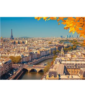 Пазл - Паризький панорамний вид (Castorland) 2000 ел. C-200917