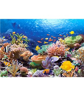 Пазл - Підводний світ коралових рифів (Castorland) 1000 ел. C-101511