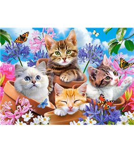 Пазл - Квітучі кошенята (Castorland) 70 ел. B-070107