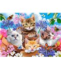 Пазл - Цветущие котята (Castorland) 70 эл. B-070107