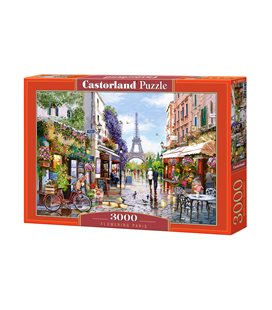 Пазли "Прекрасний Париж", 3000 елементів (C-300525)