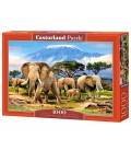Пазли "Слони біля підніжжя Кіліманджаро", 1000 ел (C-103188)